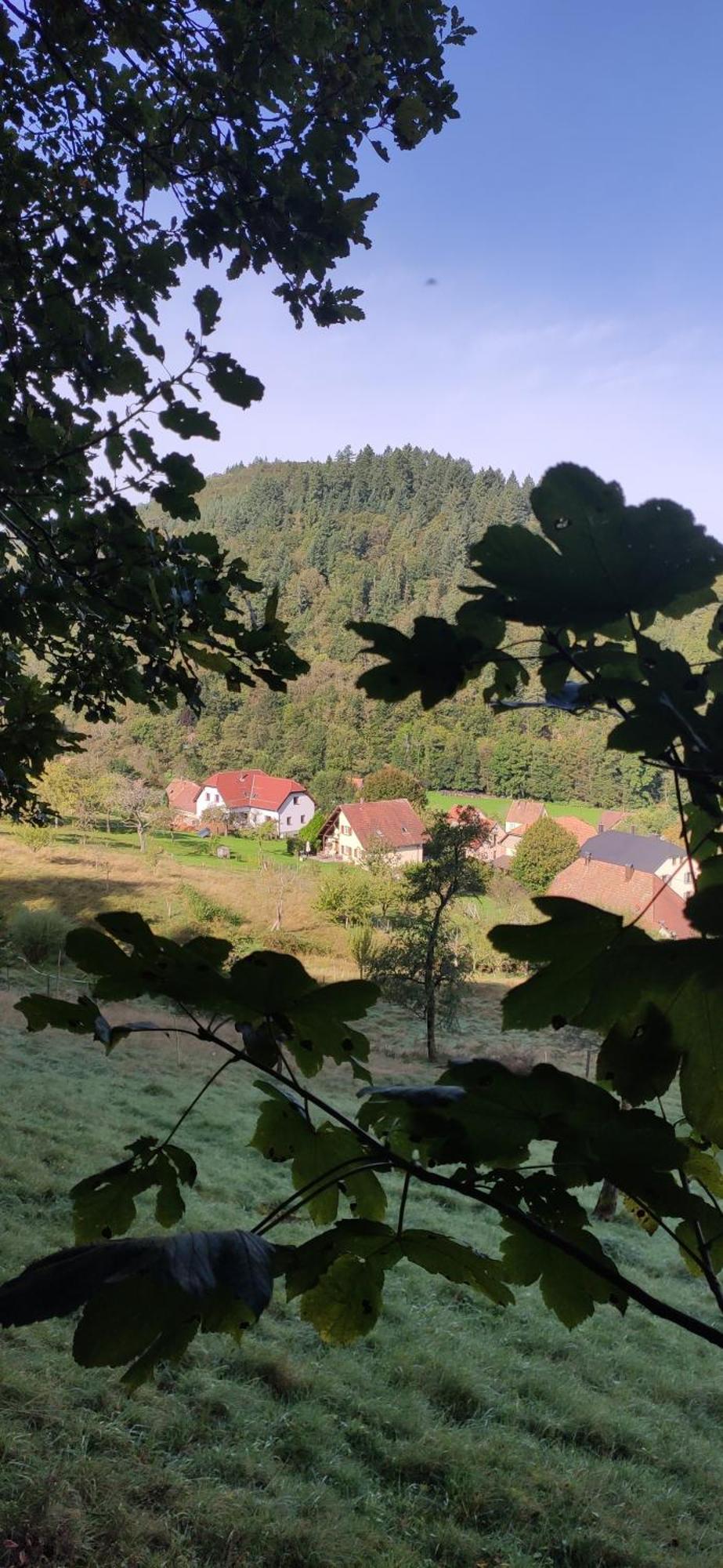Appartement Douillet Avec Vue Sur Les Montagnes Fouchy Buitenkant foto